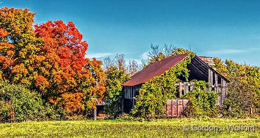 Autumn Collapsing Barn_P1200323-5.jpg - Photographed near Port Elmsley, Ontario, Canada.